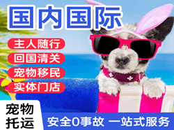 泰州机场货运国际宠物托运 【国